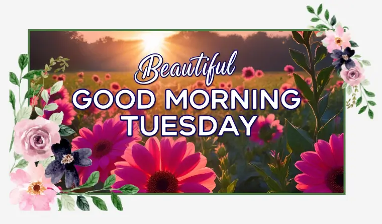 Beautiful Good Morning Tuesday Blessings