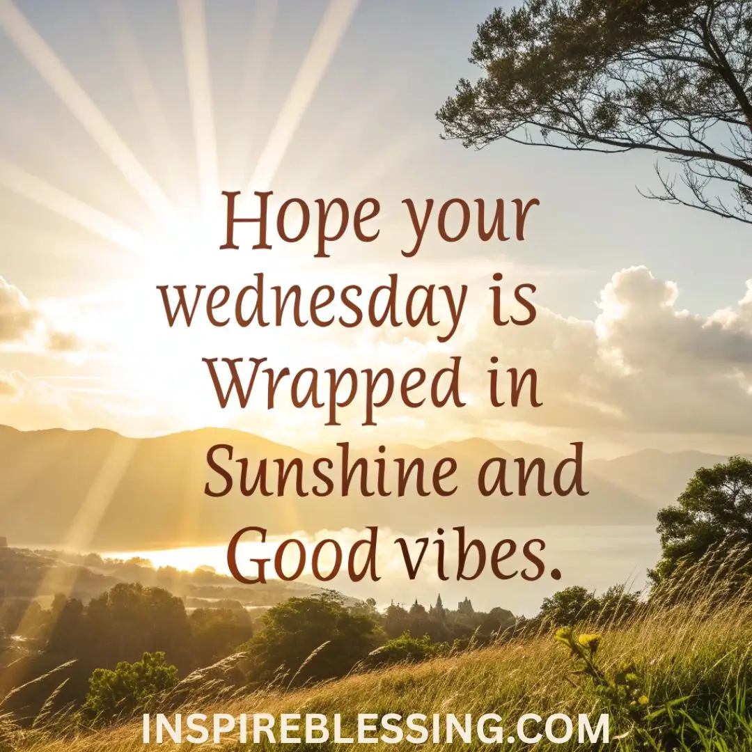 Hope your Wednesday is wrapped in sunshine