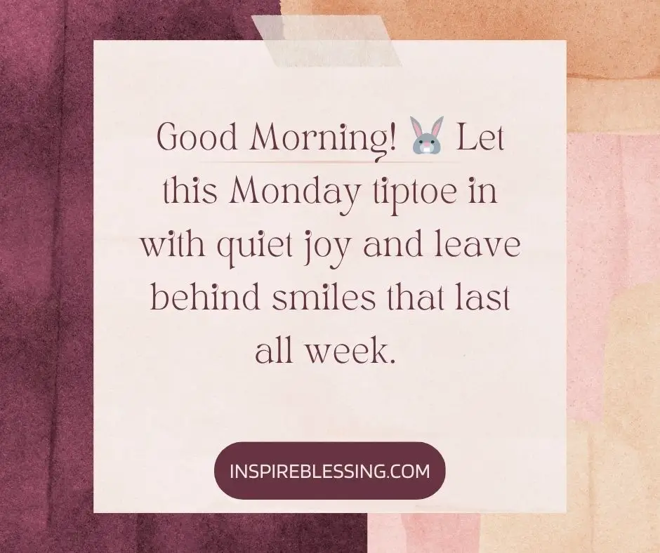 Let this Monday tiptoe in with quiet joy