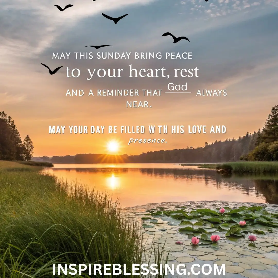 May this Sunday bring peace to your heart