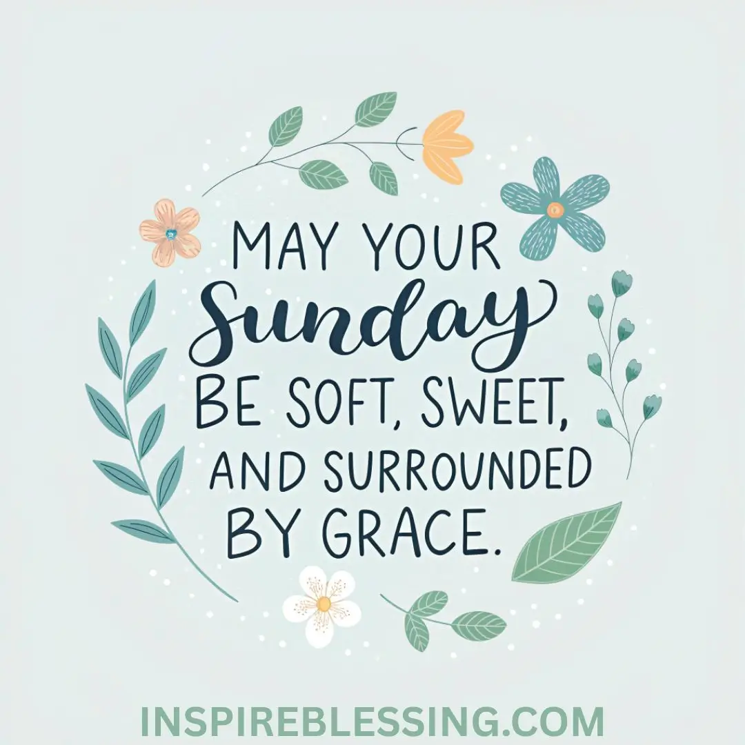May your Sunday be soft (1)