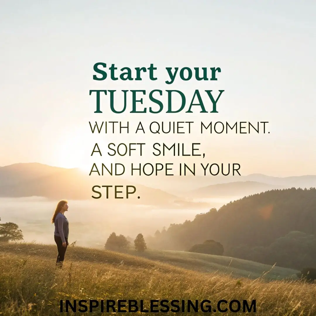 Start your Tuesday with a quiet