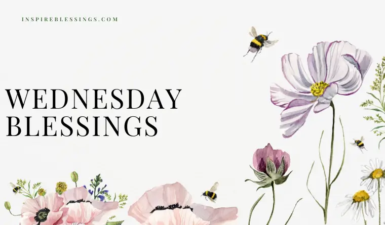 Wednesday Blessings
