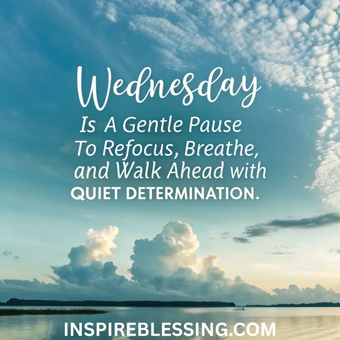 Wednesday is a gentle pause to refocus