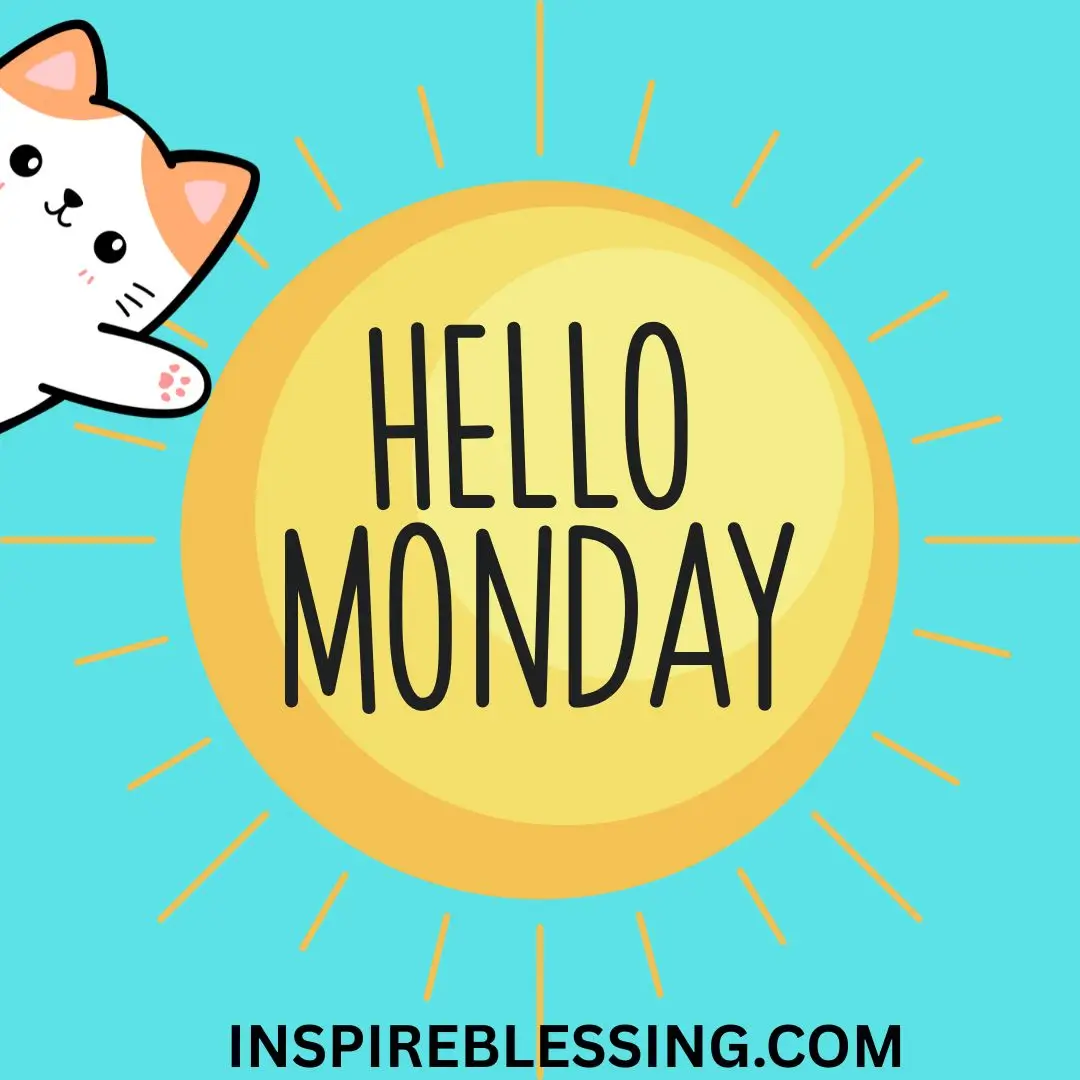 hello monday