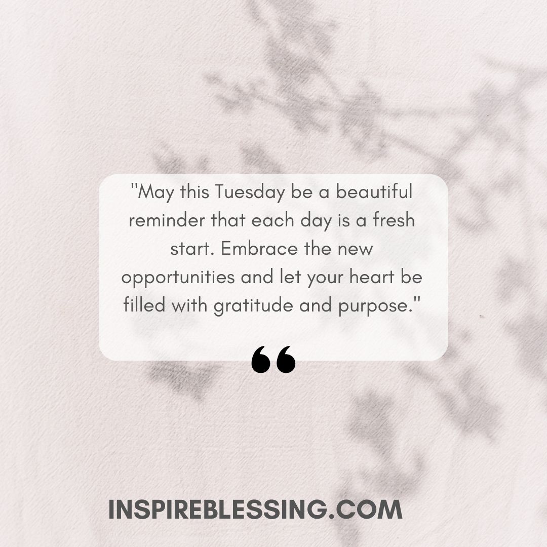 May this Tuesday be a beautiful