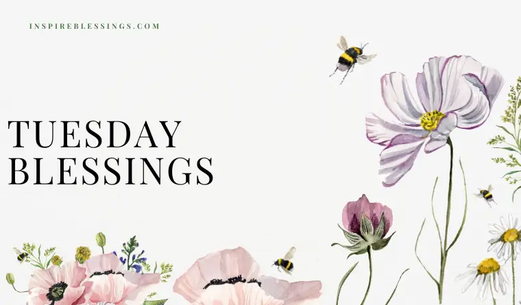 Beautiful Tuesday Blessings To Brighten Your Whole Day