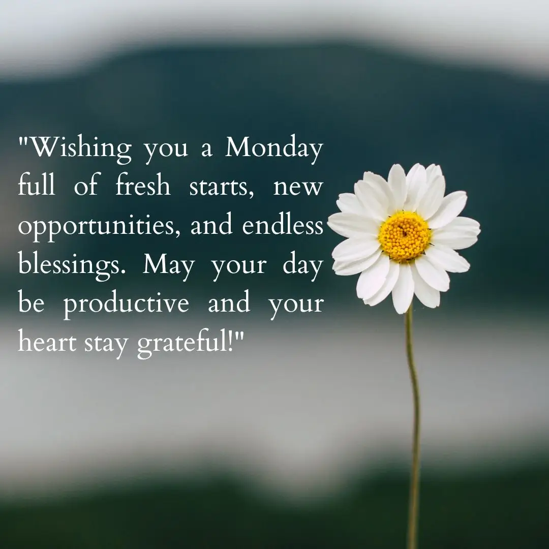 Wishing you a Monday full of fresh starts